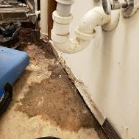 Sewer Drain | Water Damage - Flooded Brooklyn image 47